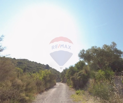 R9-3098 Land for Sale in Ras Nhache – North Lebanon أرض للبيع في رأس نحاش شمال لبنان — 2