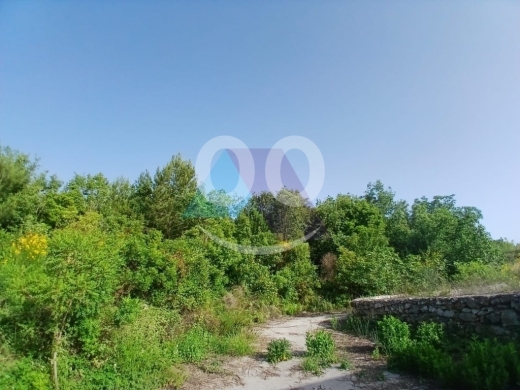 1155m2 land+mountain view-Prime Location-4sale in Azra/Keserwan-كسروانPE1L614 — 3