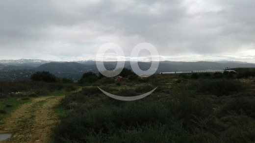 Lands for sale in Ghalboun - Land for Sale Maad Jbeil Area 2515Sqm