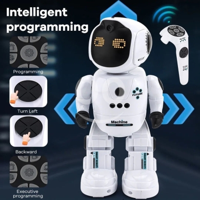 Intelligent programming robot — 4