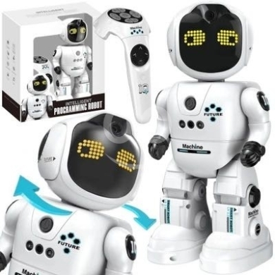 Intelligent programming robot — 2