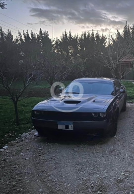 Dodge in Maalaka - Dodge Challenger 2015