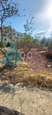 Prime 2235 m2 land 4 sale in Kfarsaroun - Koura - أرض للبيع في الكورةTR32L24 — 4