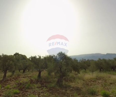 Lands for sale in Bsarma - R9-3116 Land for Sale in Bsarma Highway - Koura أرض للبيع في بصرما الأوتوستراد الكورة