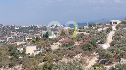 Land for Sale Aalali Batroun Area 800Sqm — 4