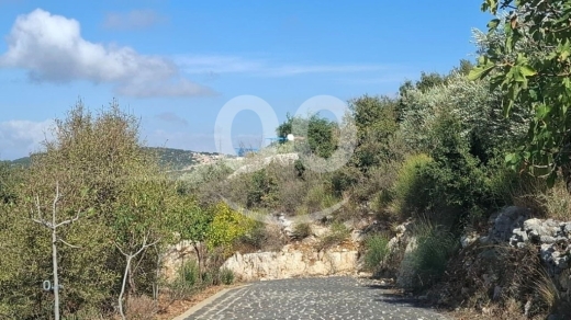 Land for Sale Aalali Batroun Area 800Sqm — 5