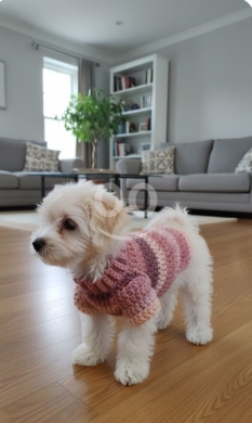 ملابس حيوانات أليفة كروشيه يدوية فاخرة مقاس صغير | Premium Handmade Crochet Pet Outfits S… — 2
