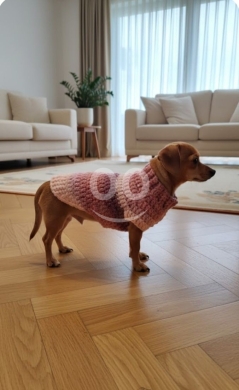 Vêtements, chaussures et accessoires dans Halate - ملابس حيوانات أليفة كروشيه يدوية فاخرة مقاس متوسط | Premium Handmade Crochet Pet Outfits Medium Size