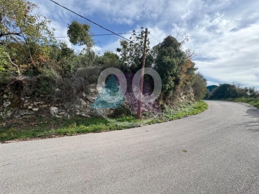 970m2 amazing land+with sea view 4sale in Berbara -أرض للبيع في برباراJZ10L187 — 3