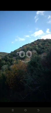 Lands for sale in Jbeil - أرض مميزة للبيع في بجه - جبيل ٣٣٠٠ م٢ إطلالة بانورامية كاشفة | Prime 3300sqm Land for Sale in Bejjeh