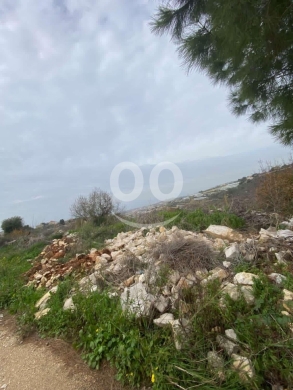 Lands for sale in Eddeh - مشروع إفراز أراضٍ للبيع في إدّه - قضاء جبيل | Land Subdivision for Sale in Eddeh - Jbeil