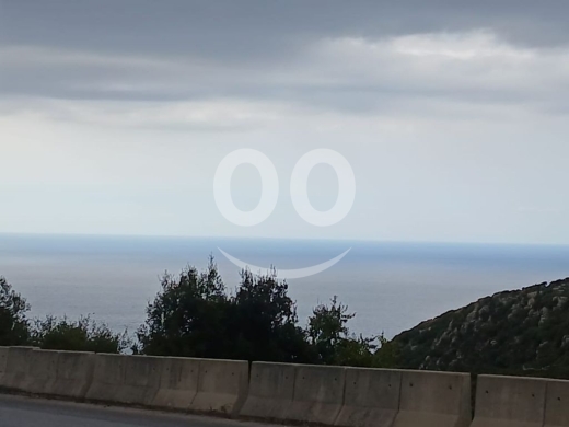 أرض استثمارية ضخمة للبيع في إجدبرا- قضاء البترون ١١,٠٠٠ م٢|Prime 11,000 sqm Investment La… — 3