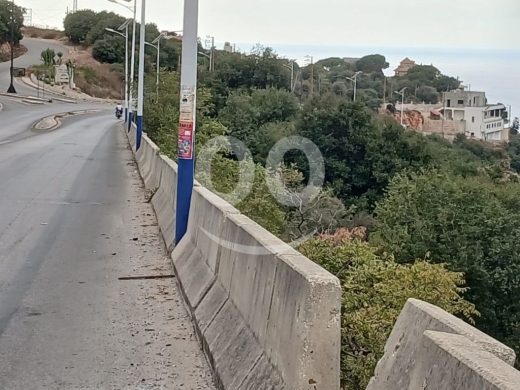 أرض استثمارية ضخمة للبيع في إجدبرا- قضاء البترون ١١,٠٠٠ م٢|Prime 11,000 sqm Investment La… — 4