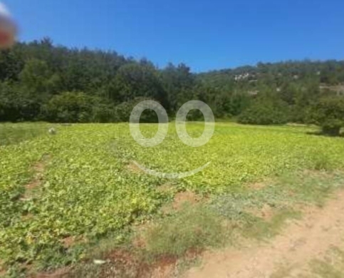 أرض مميزة للبيع في حردين - قضاء البترون ٣٢٠٠ م٢ | Prime 3200sqm Land for Sale in Hardine … — 2