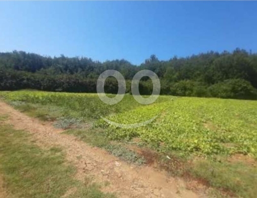 اراضي للبيع في البترون - أرض مميزة للبيع في حردين - قضاء البترون ٣٢٠٠ م٢ | Prime 3200sqm Land for Sale in Hardine - Batroun