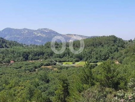 أرض مميزة للبيع في حردين - قضاء البترون ٣٢٠٠ م٢ | Prime 3200sqm Land for Sale in Hardine … — 3