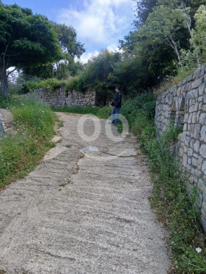 أرض مميزة للبيع في عبدلله - قضاء البترون ٣٤٠٠ م٢ مع منزلين من حجر | Prime 3400sqm Land fo… — 9