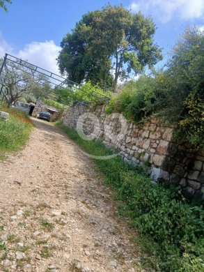 أرض مميزة للبيع في عبدلله - قضاء البترون ٣٤٠٠ م٢ مع منزلين من حجر | Prime 3400sqm Land fo… — 4