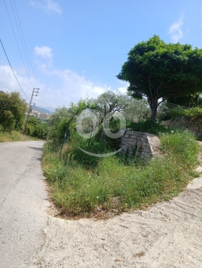 أرض مميزة للبيع في عبدلله - قضاء البترون ٣٤٠٠ م٢ مع منزلين من حجر | Prime 3400sqm Land fo… — 7