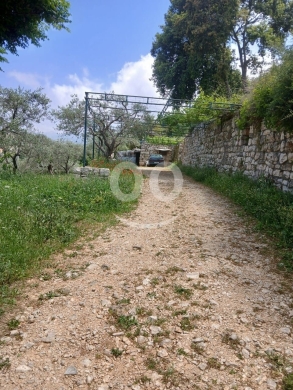 أرض مميزة للبيع في عبدلله - قضاء البترون ٣٤٠٠ م٢ مع منزلين من حجر | Prime 3400sqm Land fo… — 6