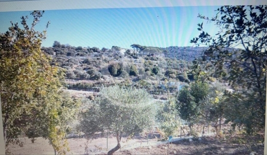 أرض زراعية واستثمارية مميزة للبيع في جربتا - قضاء البترون ١٧٤٦ م٢ | Prime 1,746 sqm Land … — 2