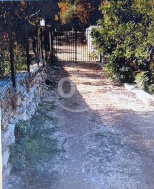 أرض زراعية واستثمارية مميزة للبيع في جربتا - قضاء البترون ١٧٤٦ م٢ | Prime 1,746 sqm Land … — 4