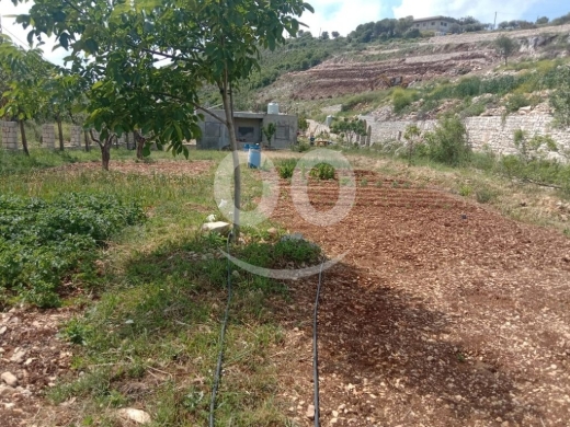 أرض مميزة للبيع في آسيا - قضاء البترون إطلالة طبيعية خلابة | Prime 1505sqm Land for Sale … — 8