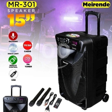 Meirandi speaker 15” — 4