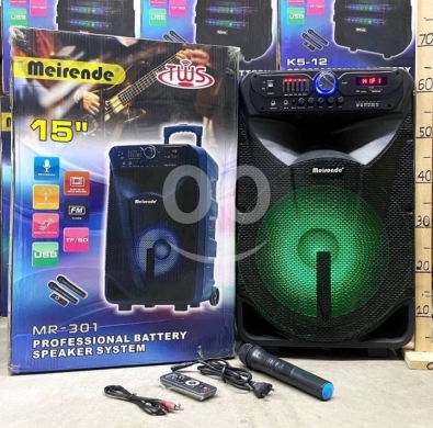 Meirandi speaker 15” — 3