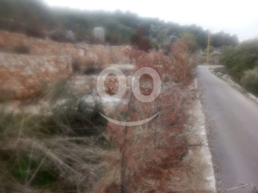 Land for Sale Halta Batroun Area 600Sqm — 2
