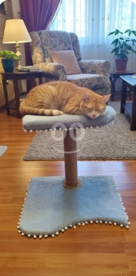Vêtements, chaussures et accessoires dans Halate - خداشة قطط منزلية فاخرة مع منصة استراحة ناعمة | Premium High Quality Homemade Cat Scratcher & Perch