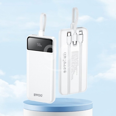 BWOO BO-P31 10000mAh Power Bank - Dual USB Output & LED Display - 12$ — 5
