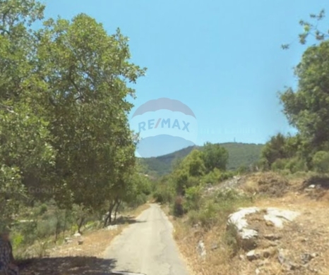 اراضي للبيع في البترون - R9-3172 Land for Sale in Sourat - Batroun أرض للبيع في صورات البترون (1360 m², Zoning 25/50, Olive Trees)