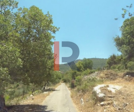 R9-3172 Land for Sale in Sourat – Batroun (1360 m², Zoning 25/50, Olive Trees)