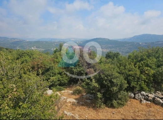 4200m2 land+mountain view 4sale in Batroun-Mar Mama-Batroun - البترونSJ46L4 — 2