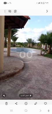Lands for sale in Ras el-Ain - بستان فاخر للبيع في صور رأس العين - إطلالة بحرية، مسبح، وشاليه مع زراعات مثمرة واستثمار استراتيجي