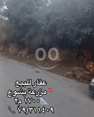 Lands for sale in Mazraat Yachouh - عقار للبيع في مزرعة يشوع
