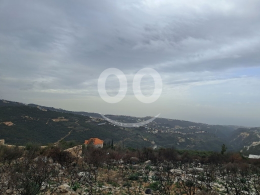 Land for Sale Aabeidat Jbeil Area 2411Sqm — 2
