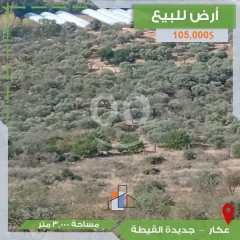 أرض للبيع في عكار - جديدة القيطة | Land for Sale in Akkar - Jdeidet El Qaytaa