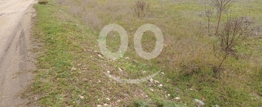 Lands for sale in Tal Bireh - سند اخضر ٢٤٠٠ سهم موقع رائع جدا وسعر لقطة