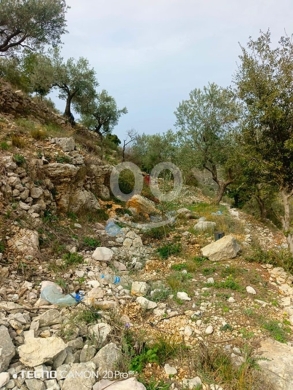 Land for Sale Bejjeh Jbeil Area 1485Sqm — 3