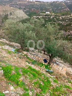 Lands for sale in Bejje - Land for Sale Bejjeh Jbeil Area 1485Sqm