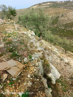 Land for Sale Bejjeh Jbeil Area 1485Sqm — 6