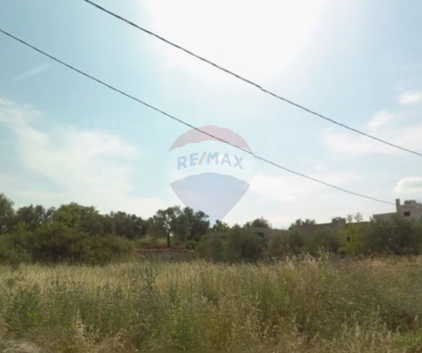 R9-3191 Land for Sale in Btourram – Koura أرض للبيع في بطرام الكورة (3,502 m², Agricultur… — 3