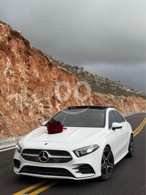 Mercedes-Benz in Nabatyeh - A220 2020