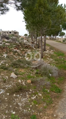 Lands for sale in Nemayreh - اراضي للبيع