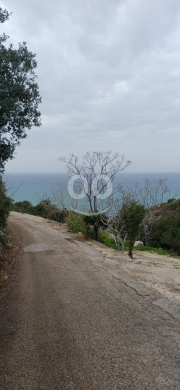أرض استثمارية مميزة للبيع في المنصف ٩٨٠٠ م٢ إطلالة بحرية على الطريق العام | Land for Sale… — 4