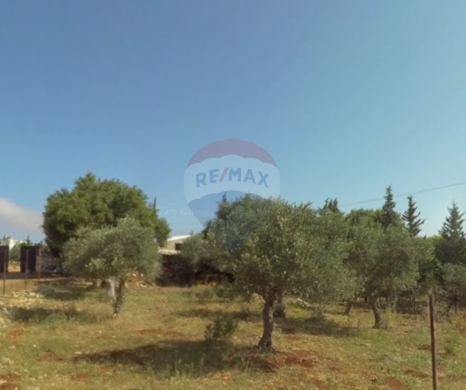 Lands for sale in Batroumine - R9-3205 Land for Sale in Batroumine - Koura أرض للبيع في بترومين الكورة (1,539 m², Residential Zoning 20/40)