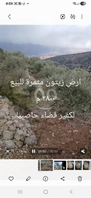 Lands for sale in Kfeir - عقار زيتون مميز للبيع