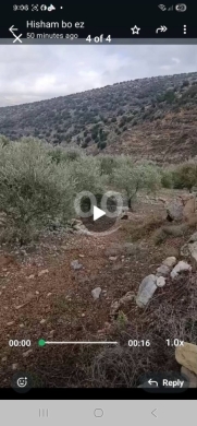 أرض زيتون مثمرة للبيع في الكفير مساحة 2800 م | Olive Land for Sale in Kfeir Hasbaya, 2,80… — 4